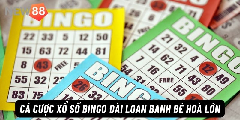 Hướng dẫn luật cược xổ số Bingo Đài Loan banh bé hoà lớn
