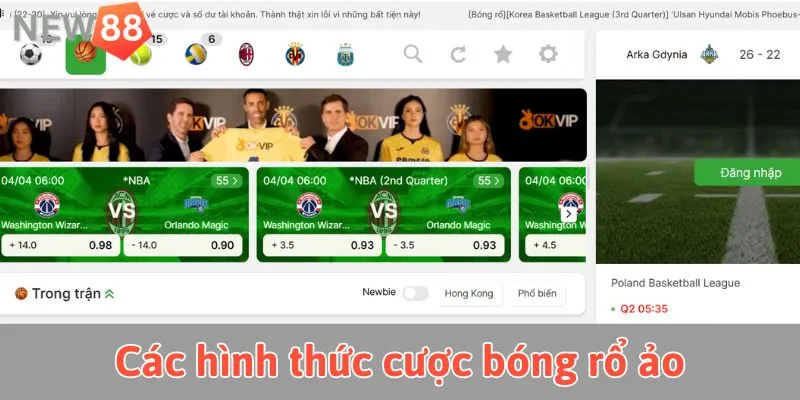 Các hình thức cược bóng rổ tại New88