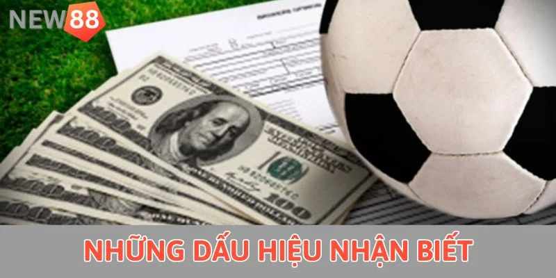 Những dấu hiệu nhận biết 