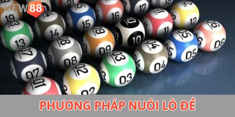 Phương pháp nuôi lô đề  