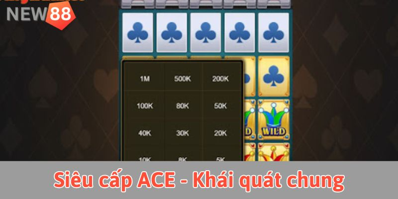 Siêu cấp ACE - Khái quát chung
