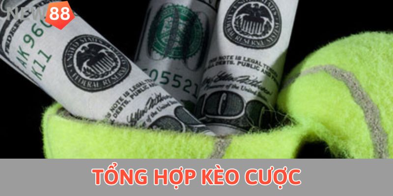 Tổng hợp kèo cược 