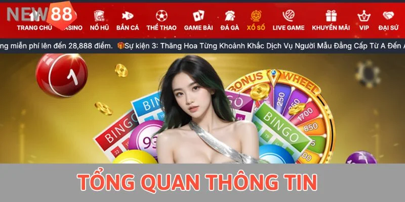 Tổng quan thông tin 