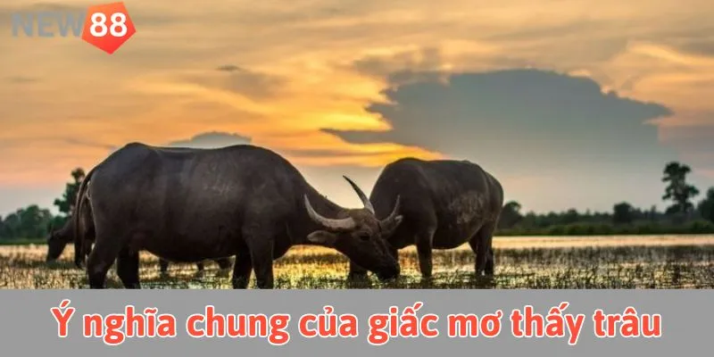 Ý nghĩa khi nằm mơ thấy trâu